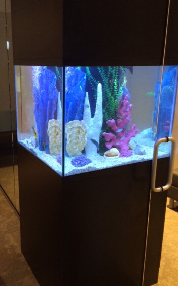 Custom Glass Aquariums 