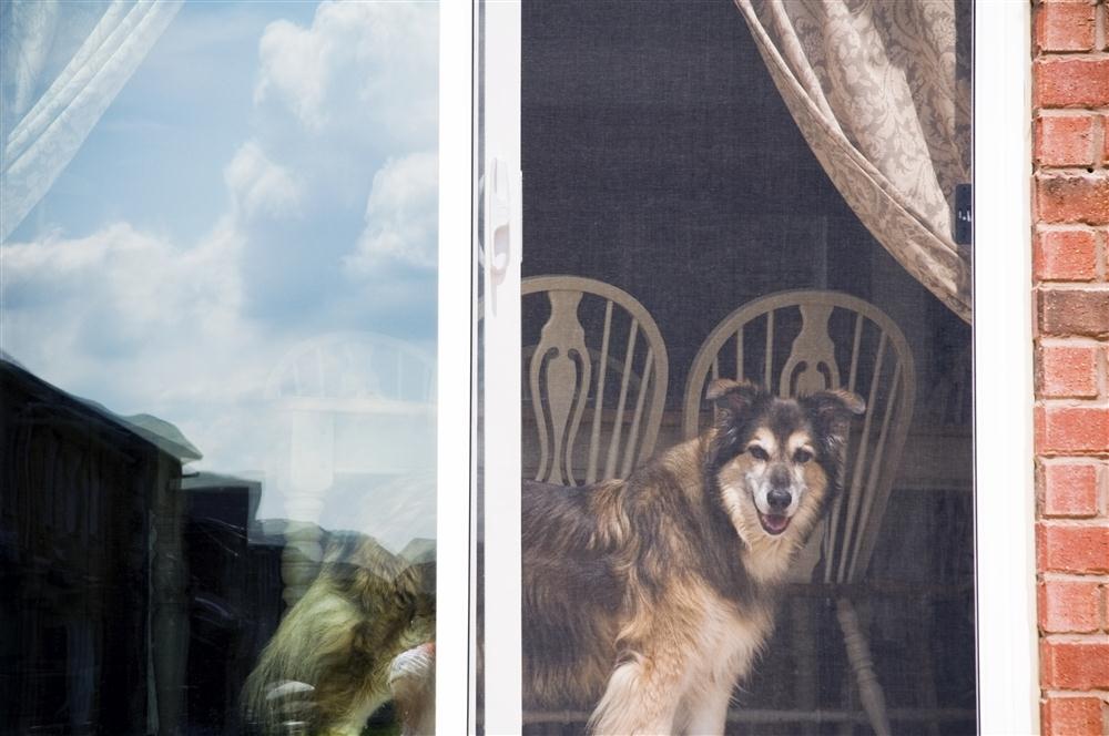 Patio Screen Door Milwaukee Patio Screen Door Replacement Waukesha