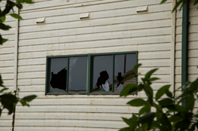 Broken windows repair in Kenosha